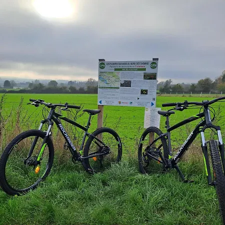 Nyaraló Dans Parc De Sculptures - 