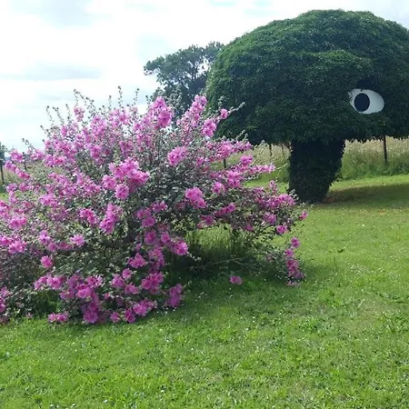 Dans Parc De Sculptures - 